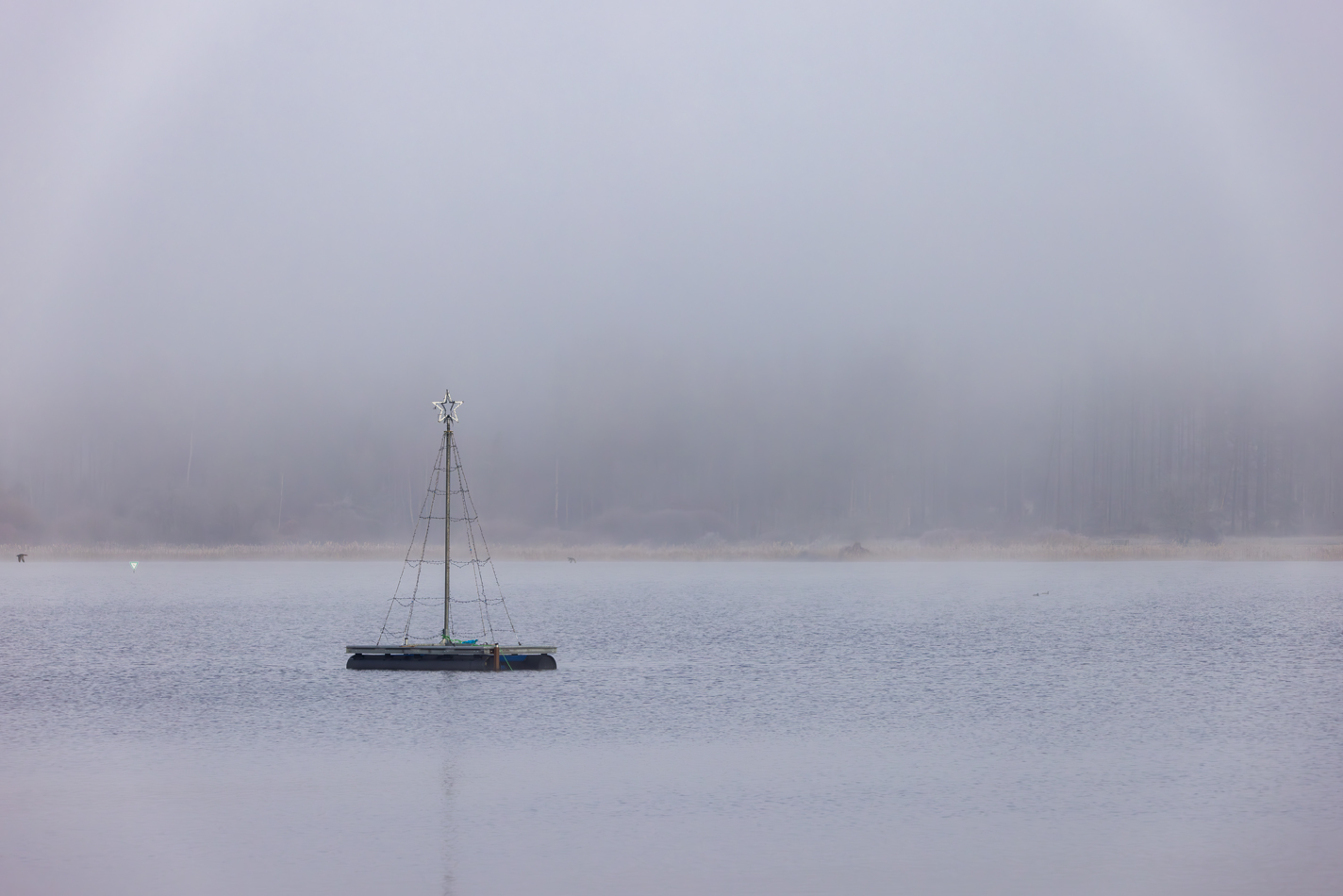 Winternebelmorgen am Jungferweiher