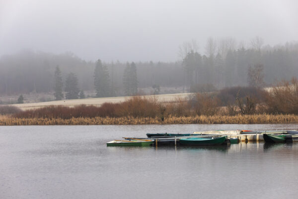 Winternebelmorgen am Jungferweiher