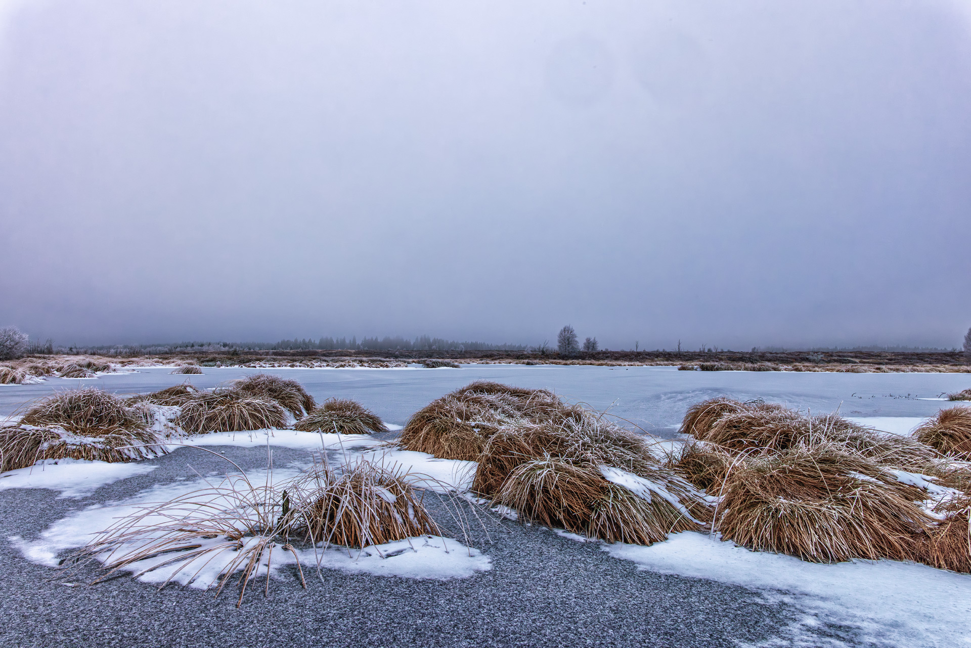 Ein Hauch von Winter im Brackvenn (Belgische Eifel)