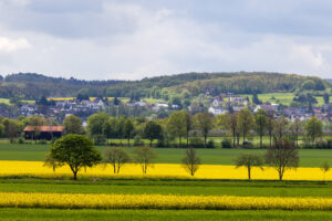 Fr&uuml;hling im Eifelumland