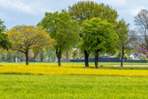 Fr&uuml;hling im Eifelumland