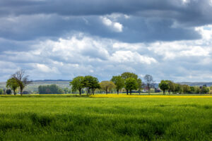 Fr&uuml;hling im Eifelumland