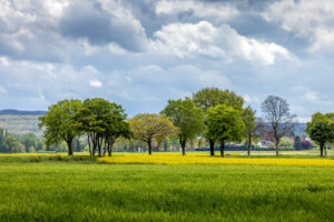 Frühling im Eifelumland