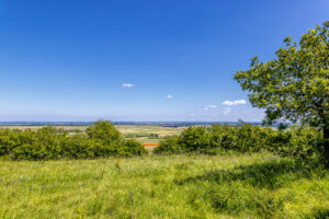 Ein Blick vom Rand der Eifel auf die Z&uuml;lpicher B&ouml;rde