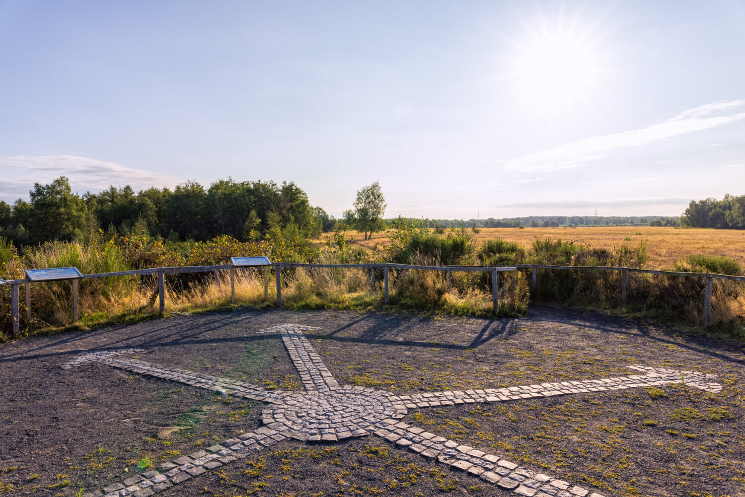 Unterwegs in der Drover Heide
