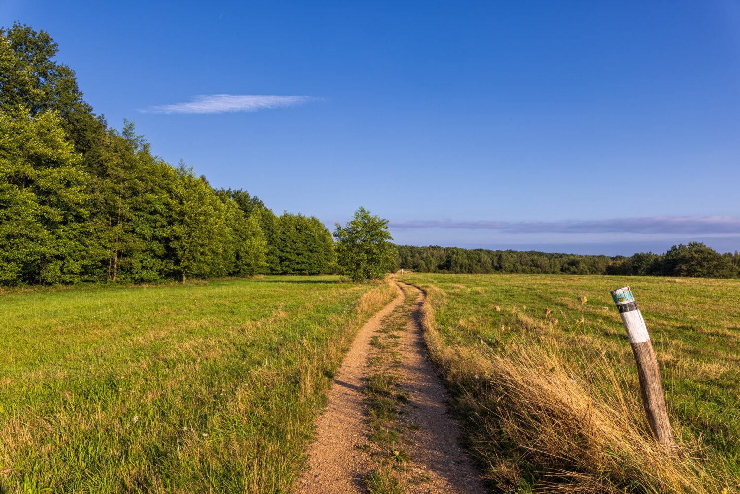 Unterwegs in der Drover Heide