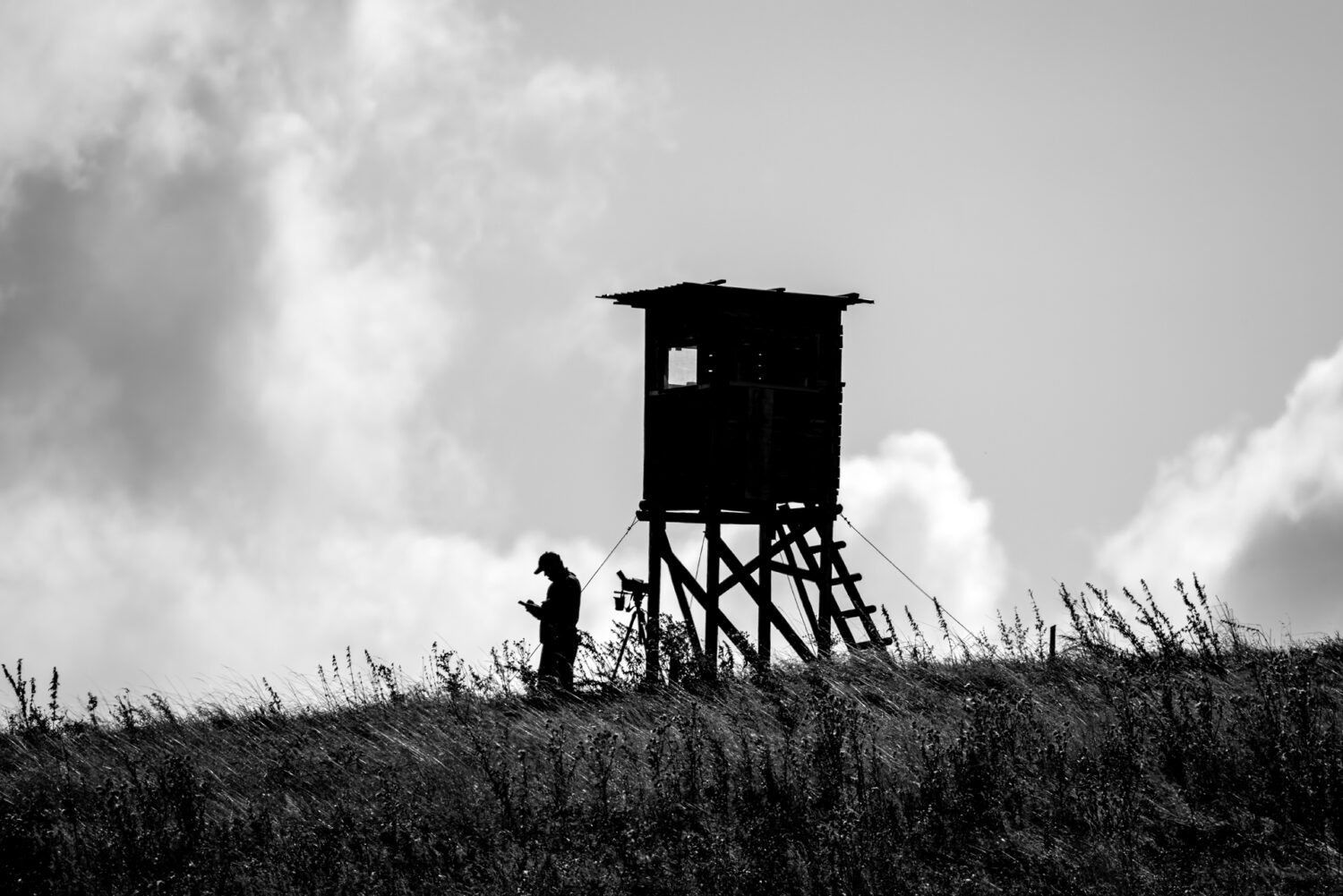 Warten auf den seltenen Schlangenadler