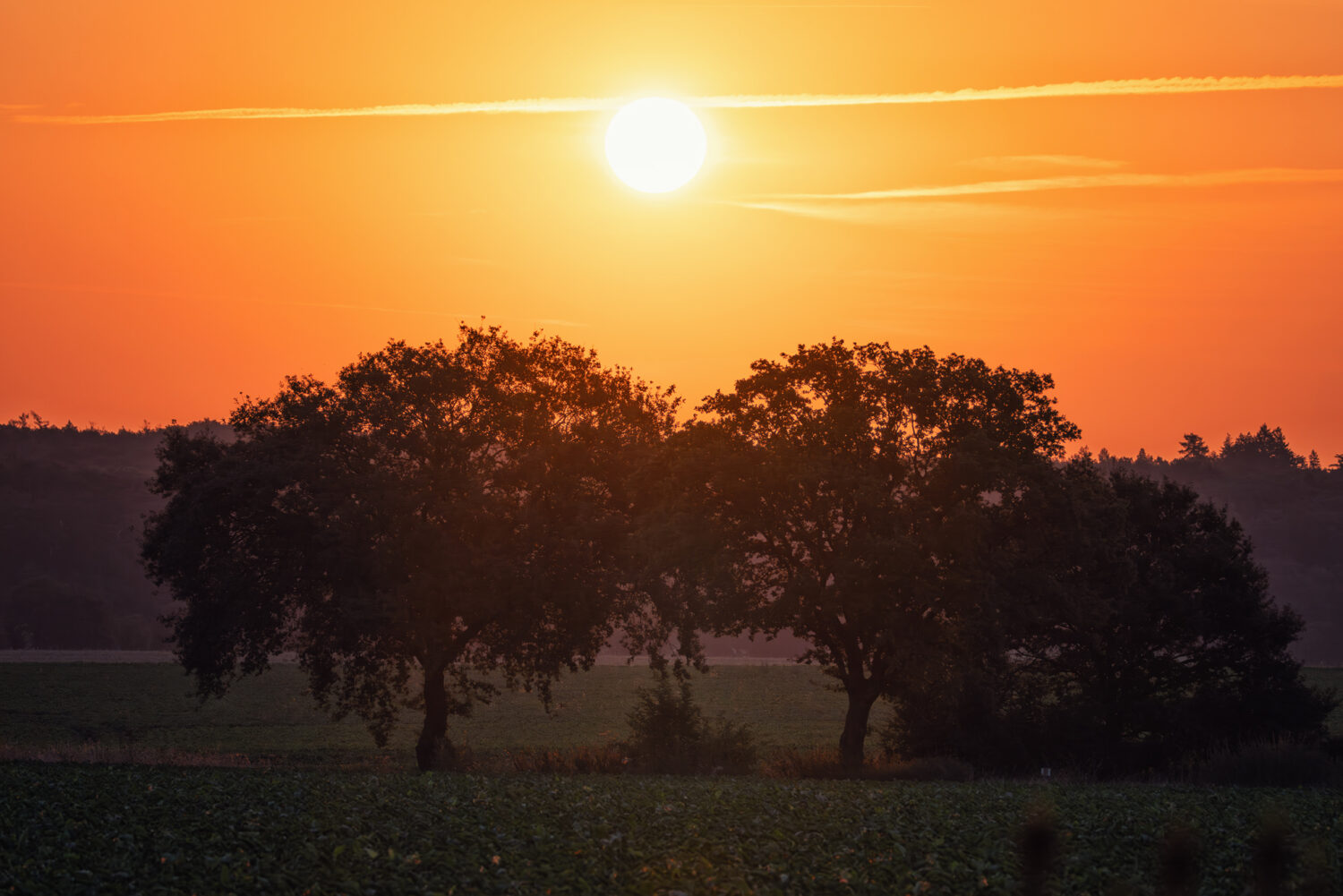 Bei Sonnenaufgang im Eifelvorland