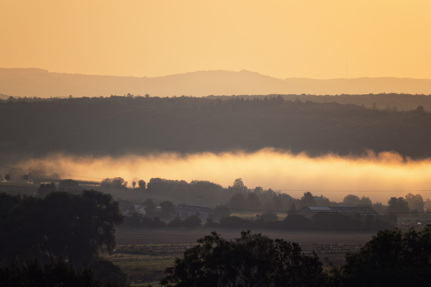 Sonniger Nebelmorgen im Ahrtal
