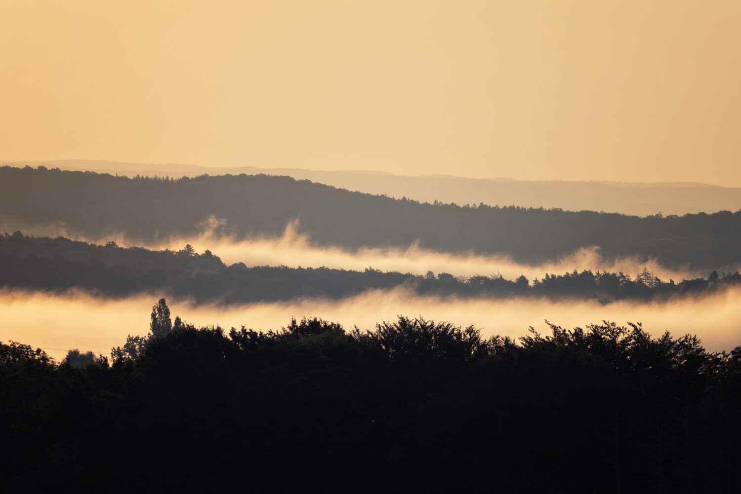 Sonniger Nebelmorgen im Ahrtal