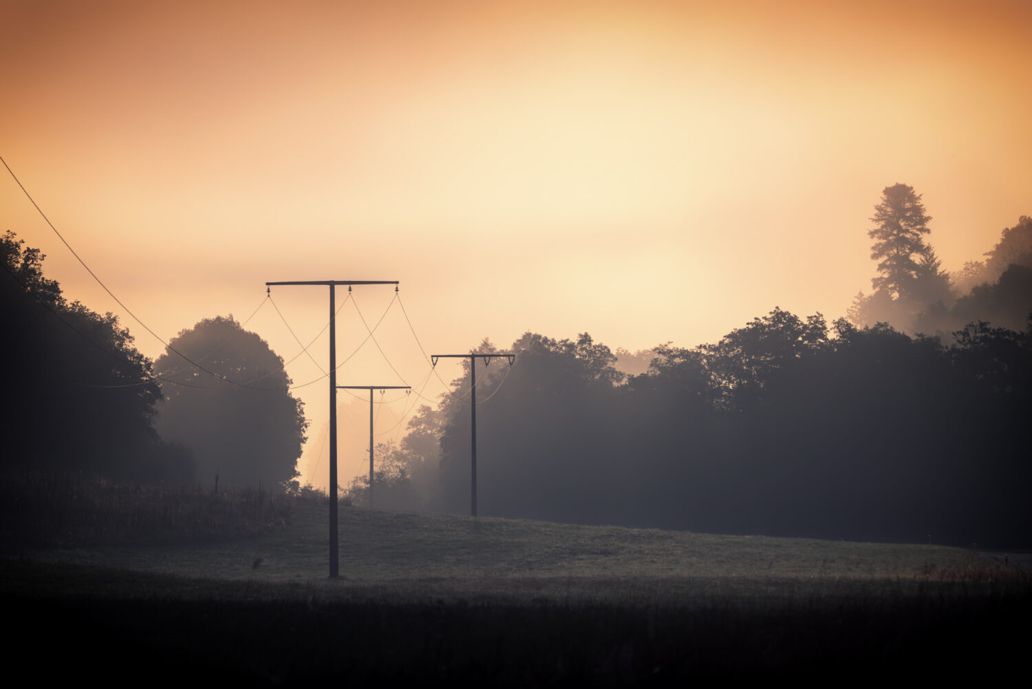 Sonniger Nebelmorgen im Ahrtal