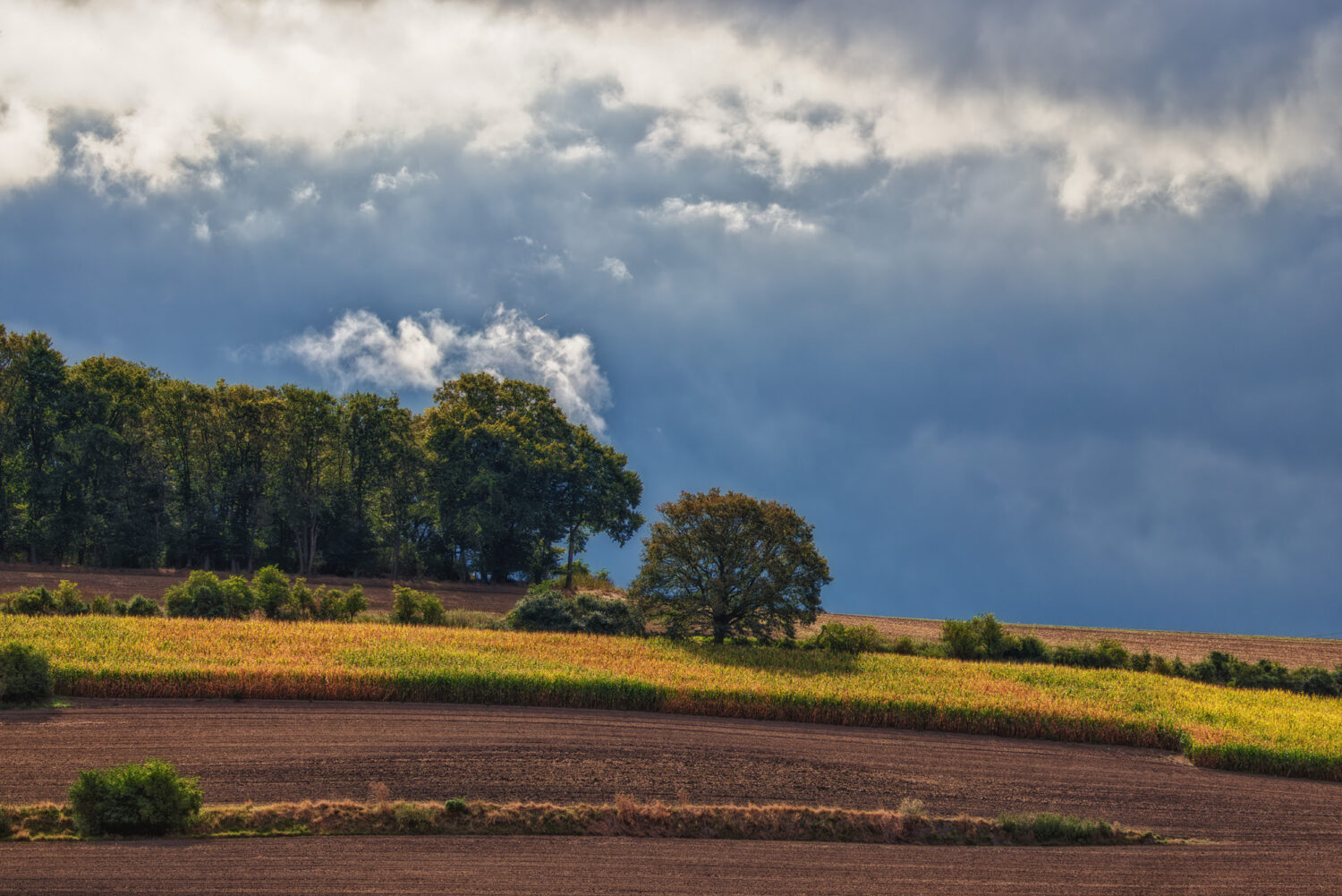 Frühherbst in der Eifel
