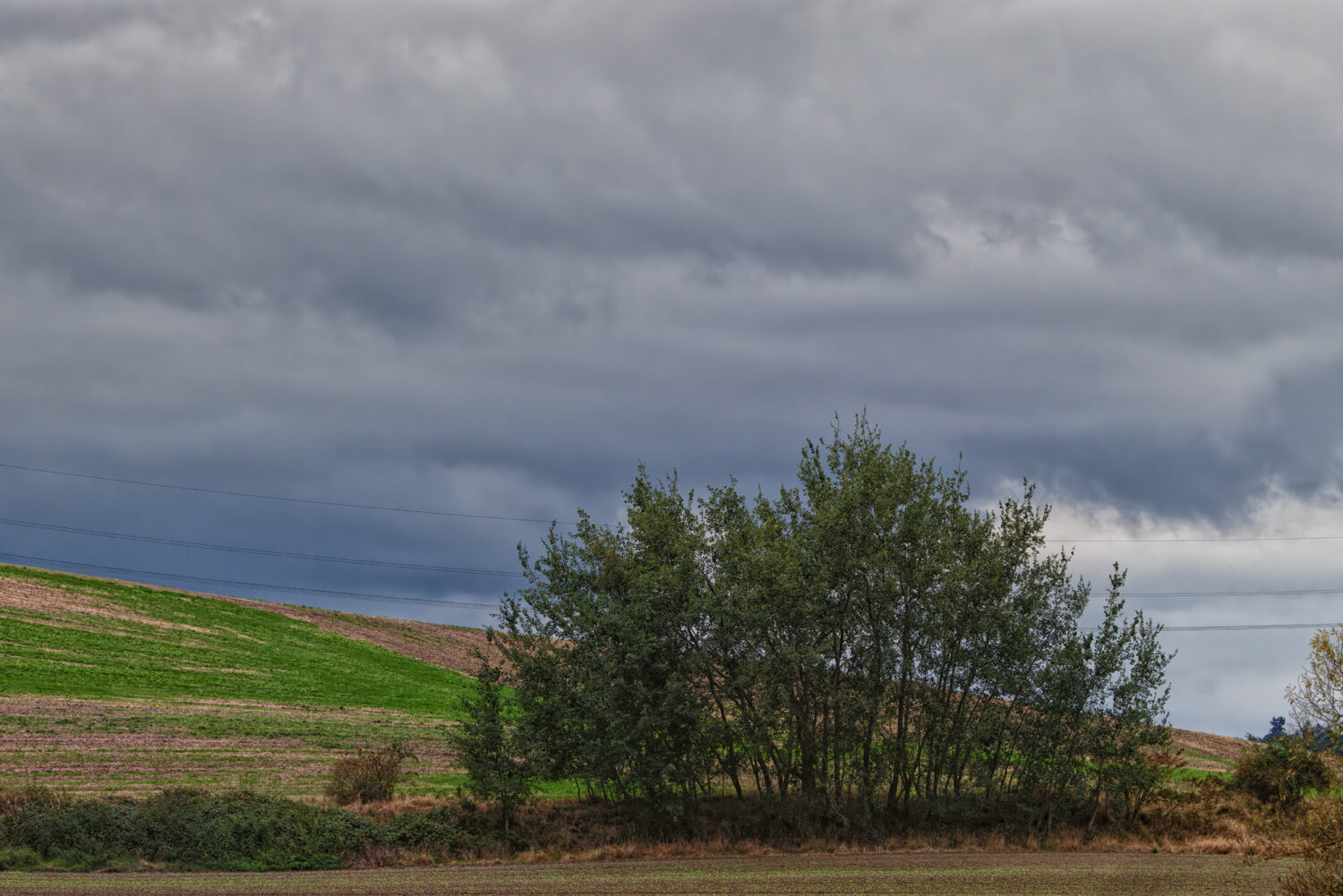Frühherbstliche Stimmung in der Eifel