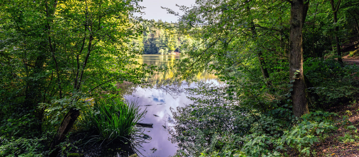 Unterwegs in Mittelerde (Silbersee im Villewald)