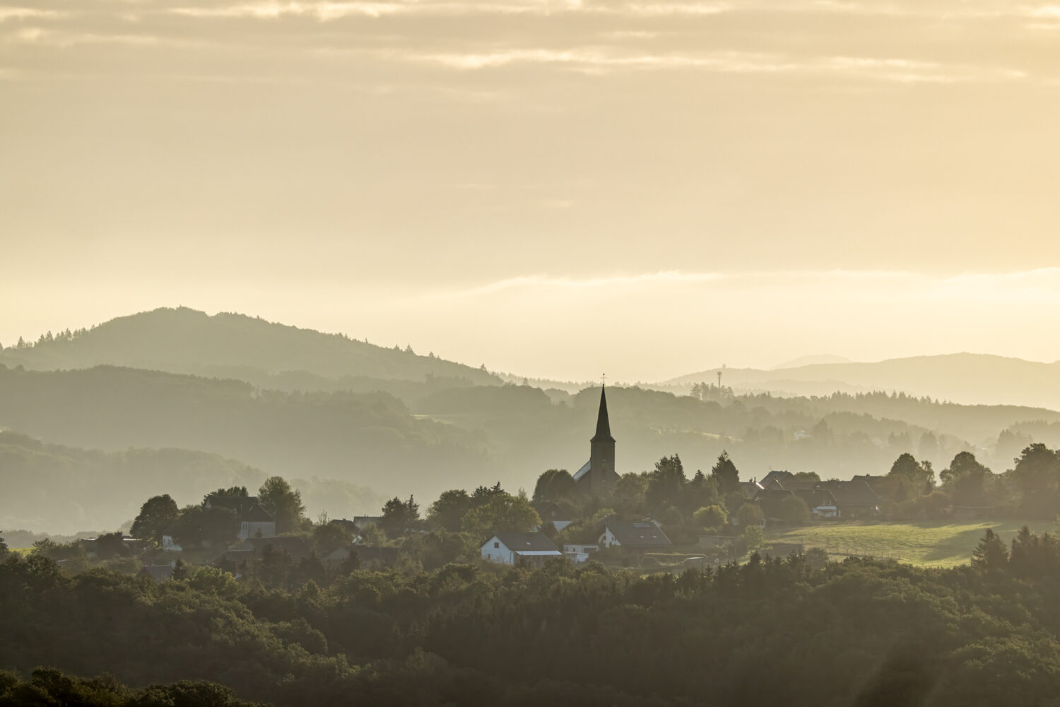 Septembermorgen in der Nordeifel