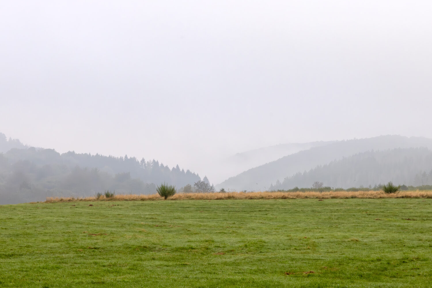 Frühherbstliche Eifel