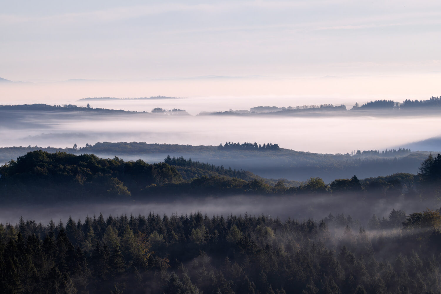 2024-10-FCa-011-Fruehmorgens-Nordeifel Frühmorgens in der Nordeifel
