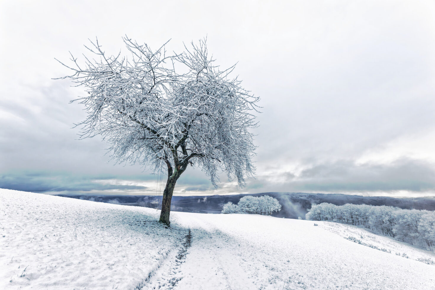 Auf dem Hechelscheider Hövel