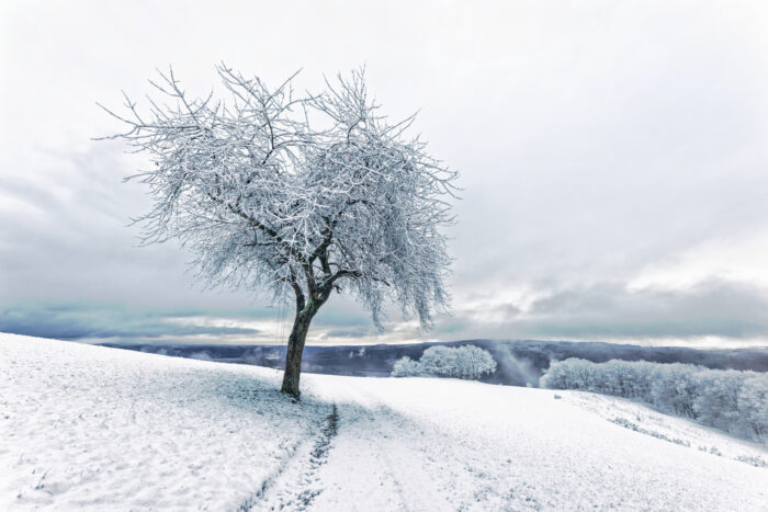 Auf dem Hechelscheider Hövel