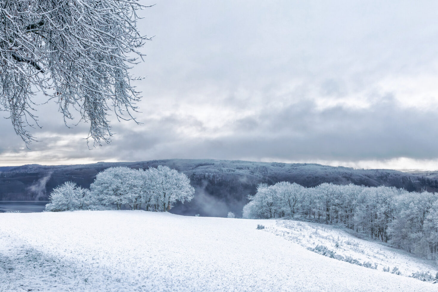 Auf dem Hechelscheider Hövel