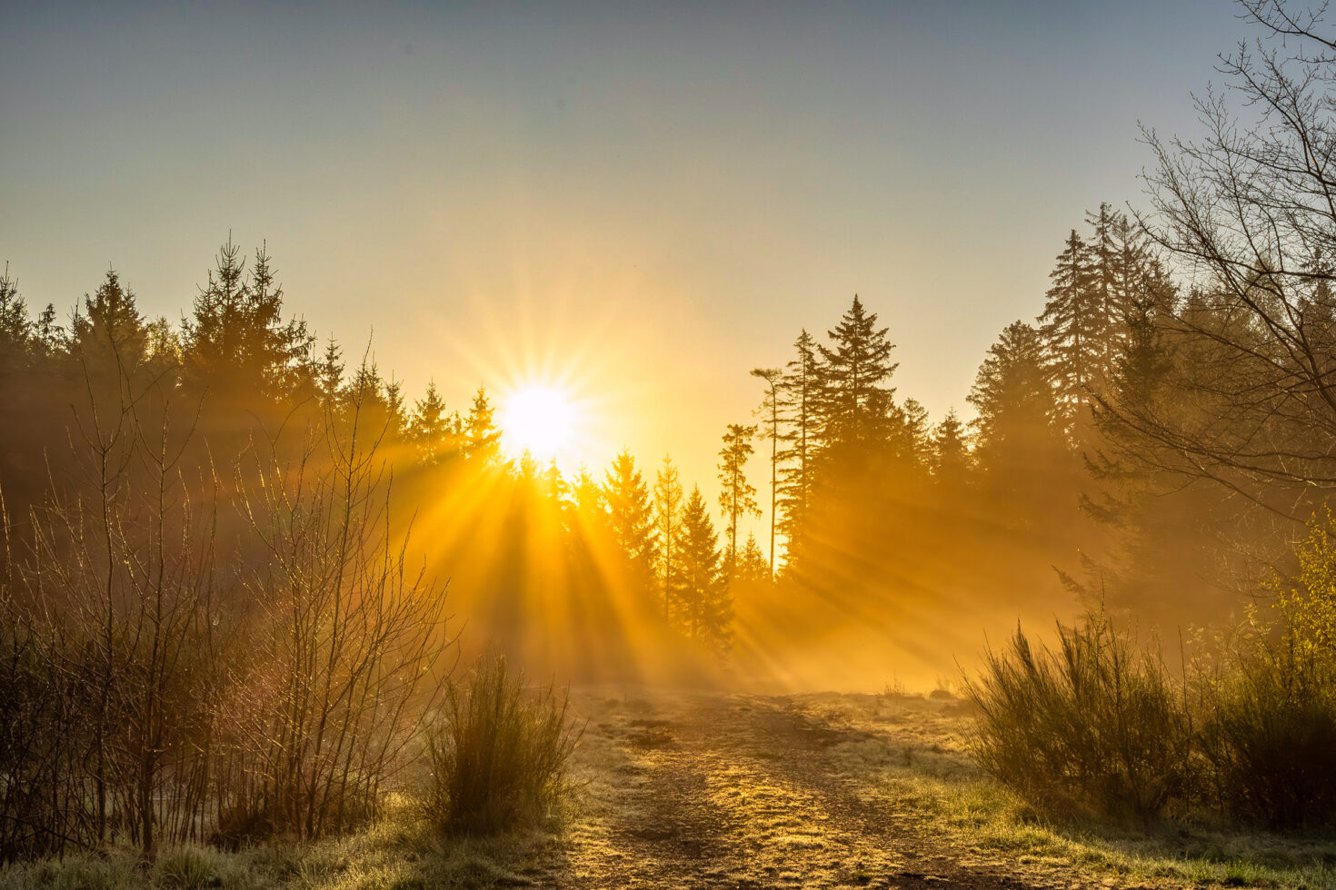 2025-04-FCa-093-Eifelmorgen Eifelmorgen