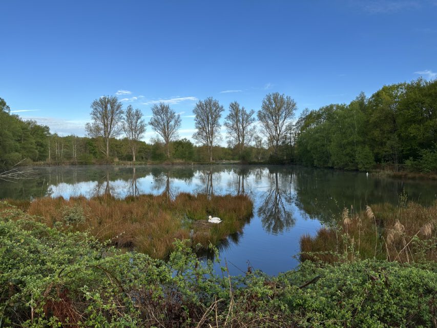 Unterwegs an den Stallberger Teichen