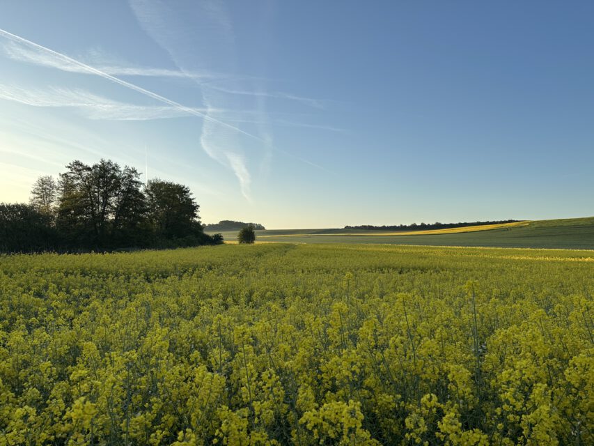 Unterwegs in den Thürer Wiesen