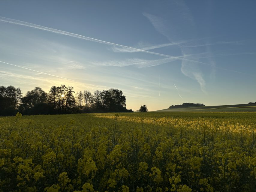 Unterwegs in den Thürer Wiesen