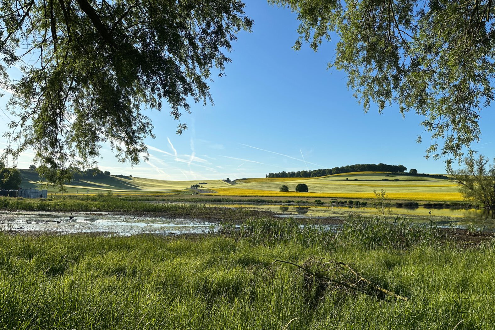 Unterwegs in den Thürer Wiesen