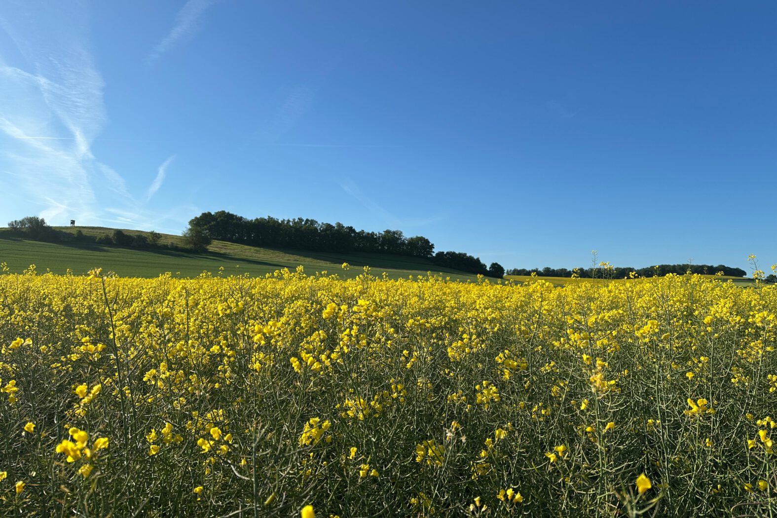 Unterwegs in den Thürer Wiesen