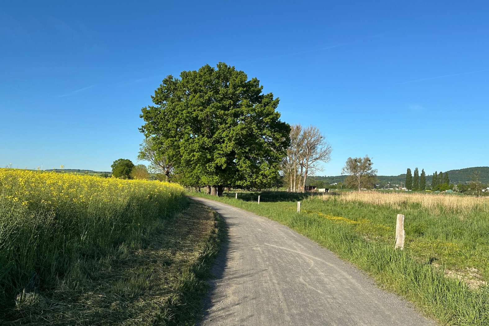 Unterwegs in den Thürer Wiesen