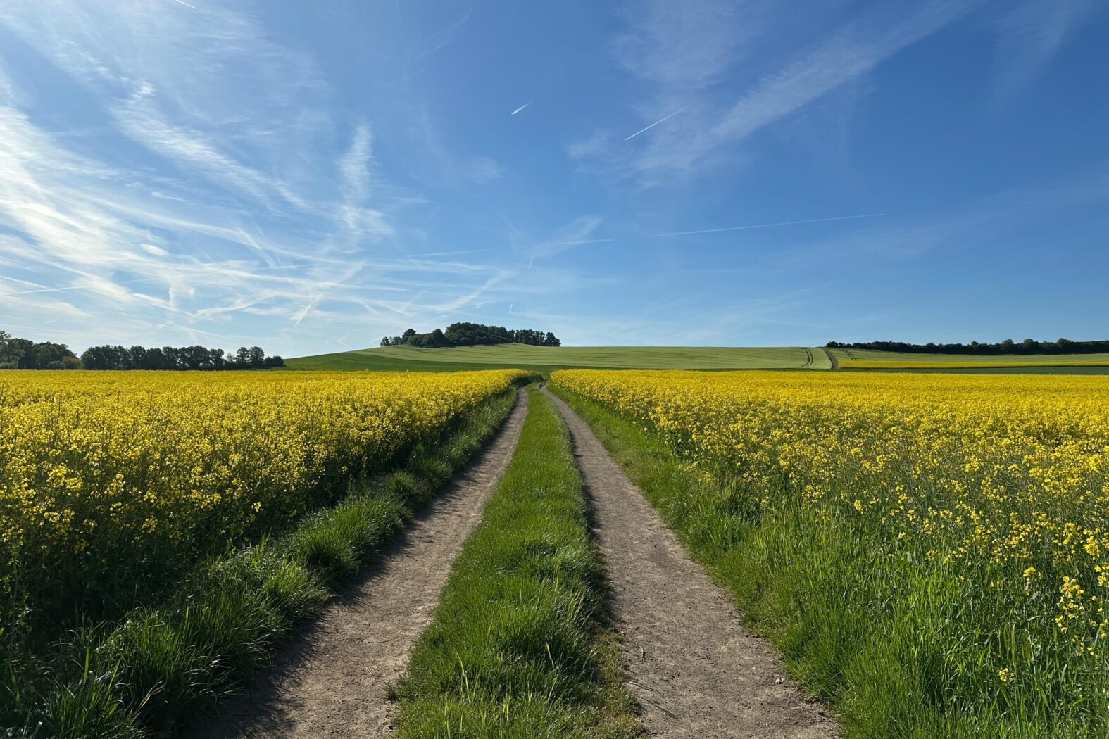 Unterwegs in den Thürer Wiesen
