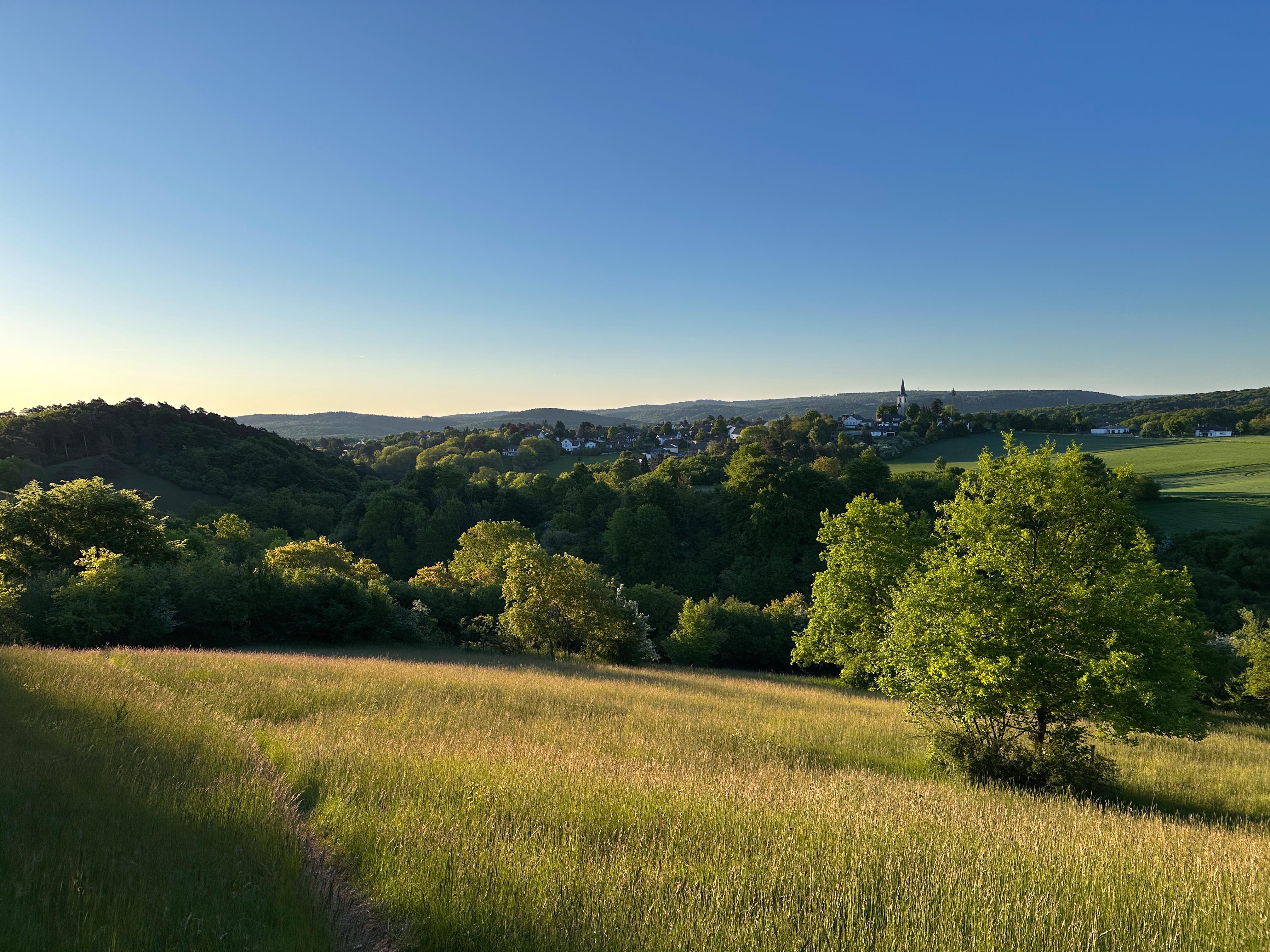 2025-05-FCa-135-Eifellandschaft