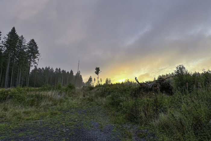 Sonnenaufgang über der Eifel
