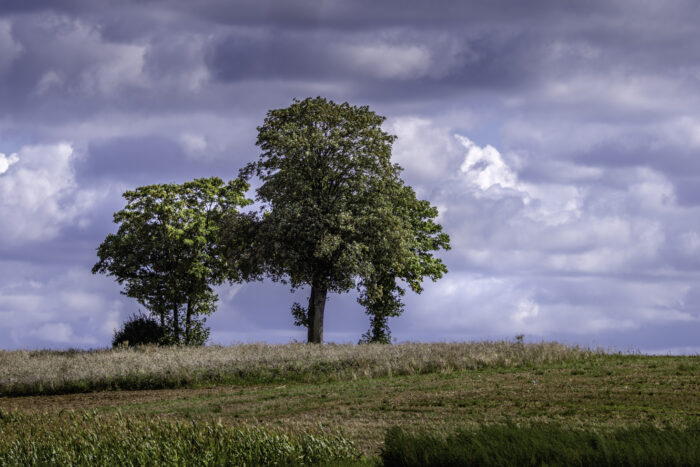 Spätsommer in der Voreifel. Der Herbst steht schon in den Startlöchern.