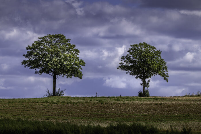 Spätsommer in der Voreifel. Der Herbst steht schon in den Startlöchern.