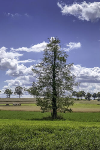 Spätsommer im Voreifelland. Der Herbst steht schon in den Startlöchern.