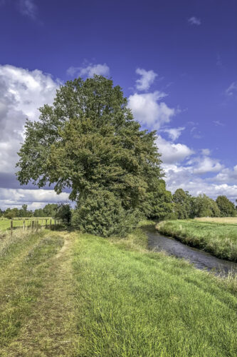 Spätsommer im Voreifelland. Der Herbst steht schon in den Startlöchern.