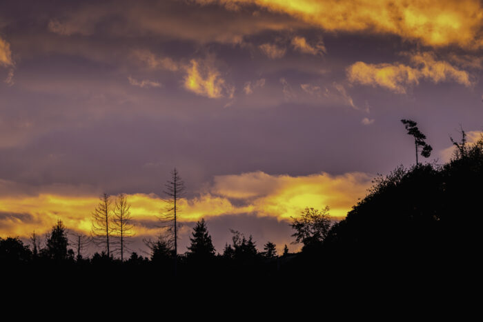 Sonnenaufgang über der Ahreifel