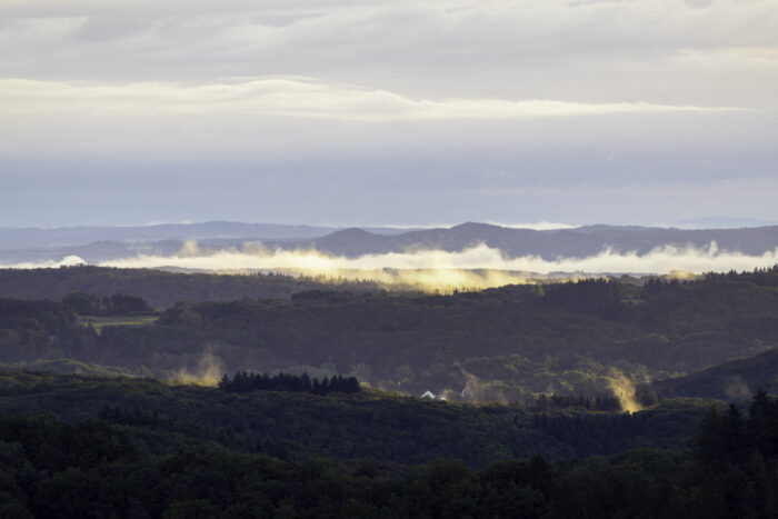 Frühherbstlicher Morgen in der Nordeifel