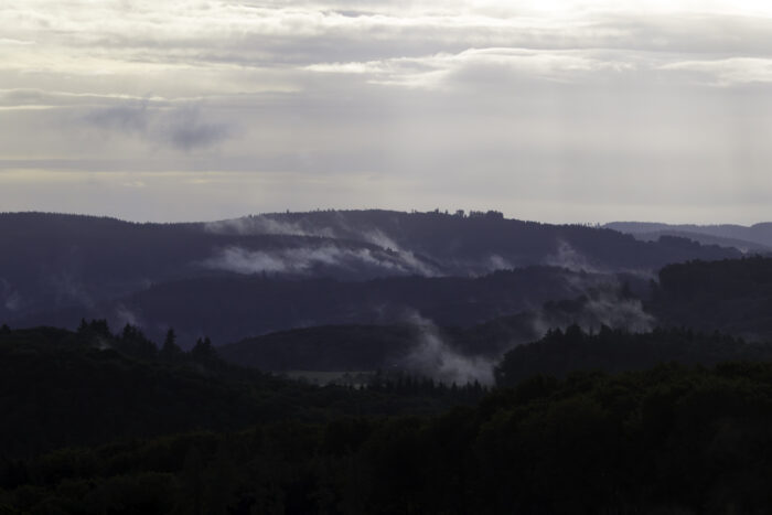 Frühherbstlicher Morgen in der Nordeifel