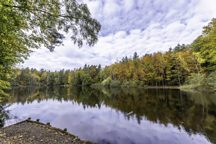 Der Silbersee im Ville-Wald