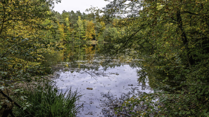 Der Silbersee im Ville-Wald