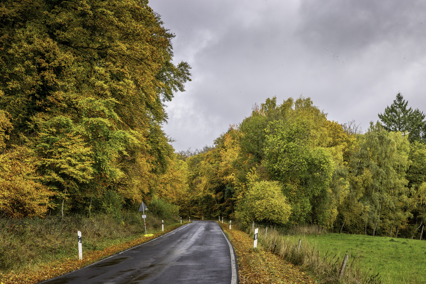 2025-10-FCa-063-Eifel-Herbst Herbstliche Eifel