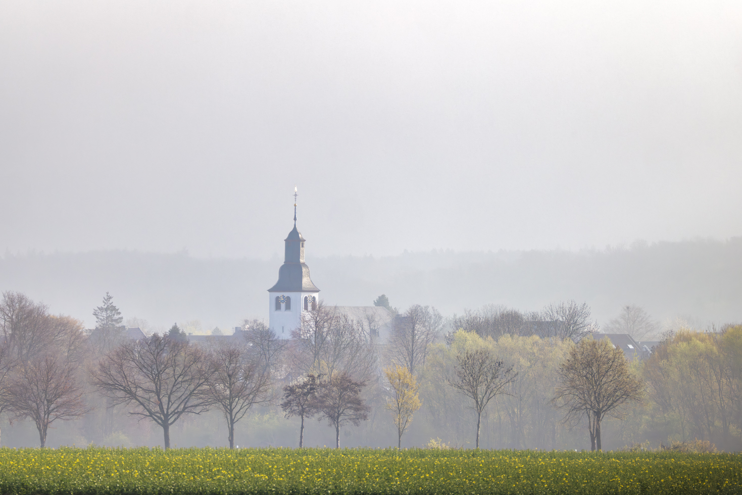 2026-03-FCa-087-St-Mauritius-Weilerswist St. Mauritius in Weilerswist im Morgendunst