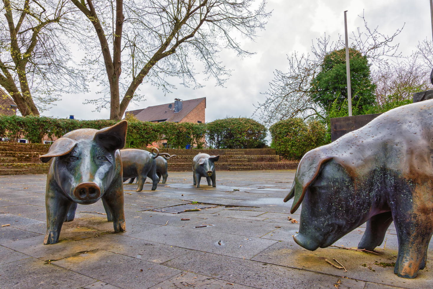 2026-04-FCa-031-Schweinebrunnen-Zons Der Schweinebrunnen in Zons aus dem Jahr 1959 von Bildhauer Bernhard Lohf nimmt die historische Begebenheit der sogenannten "Zonser Schweinefehde" aus dem Jahr 1575/1577 auf, in der Soldaten des damaligen Kölner Erzbischof Salentin von Isenburg die Zonser Schweineherde, bestehend aus 50 Schweinen, stahlen