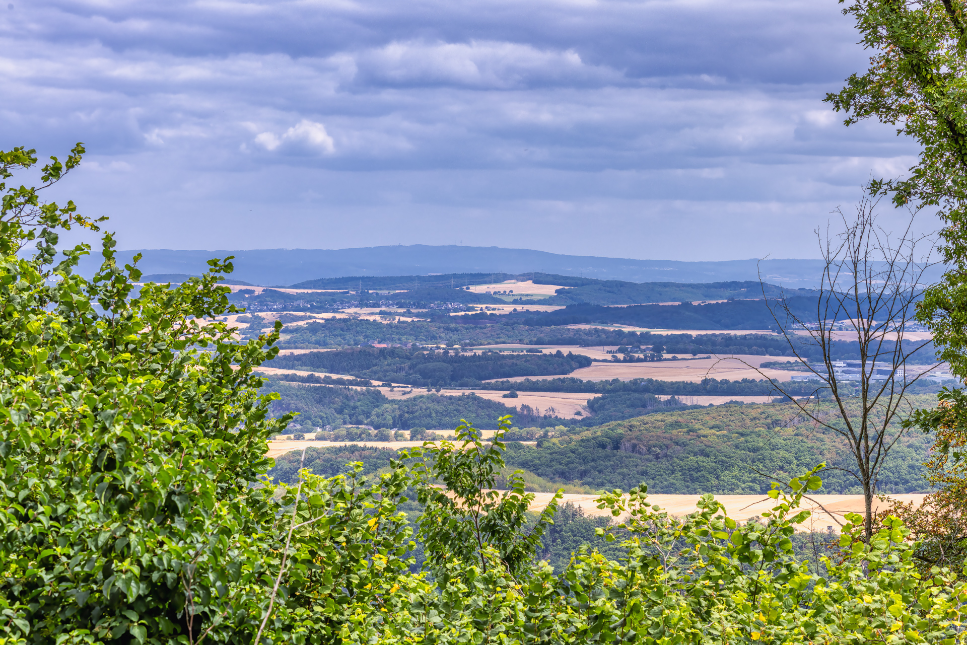 2026-07-FCa-062-Eifel-Hochsommerlandschaft Hochsommer in der Eifel