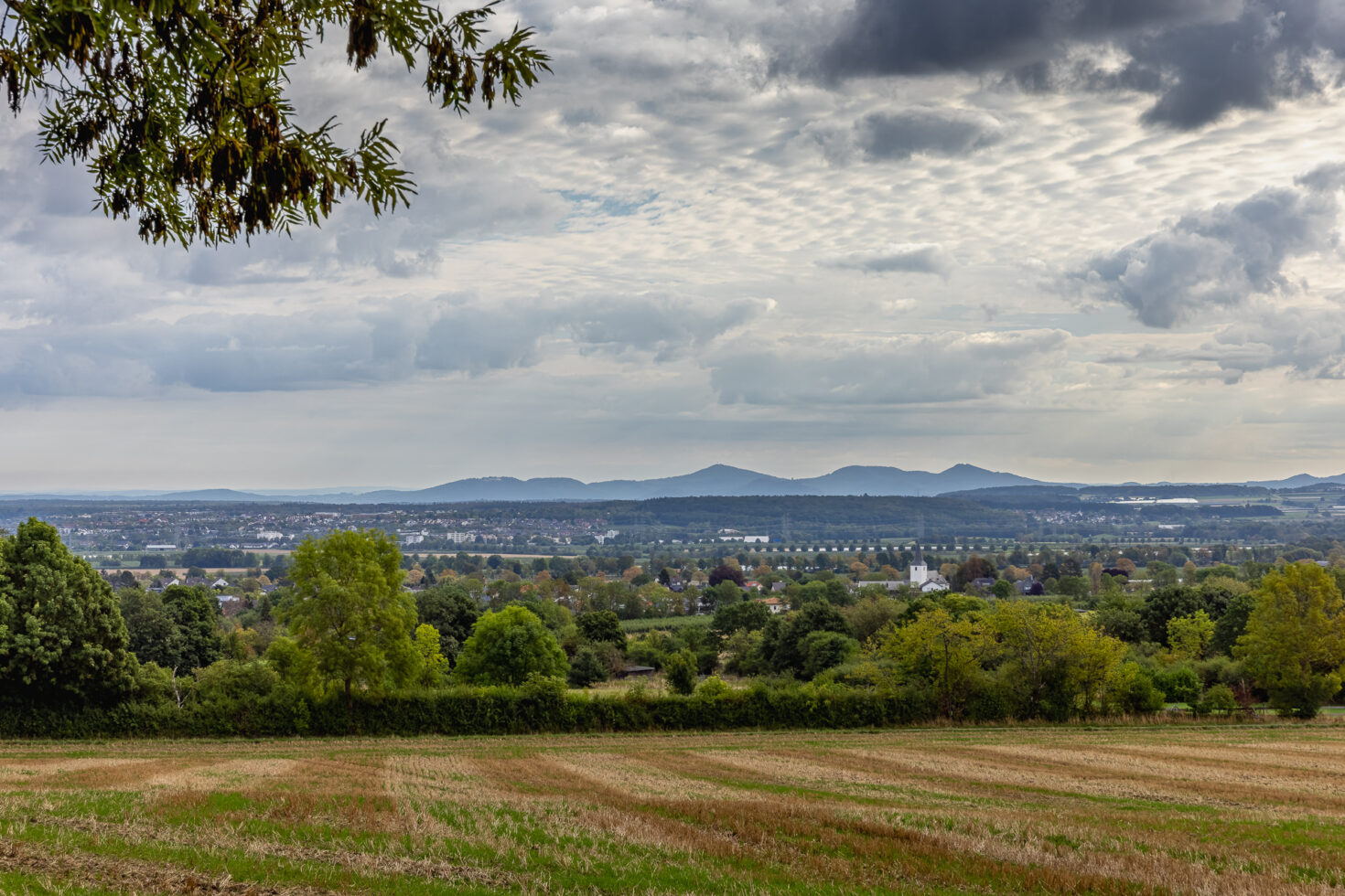 Blick in die Ebene unterhalb der Tomburg und auf das Siebengebirge