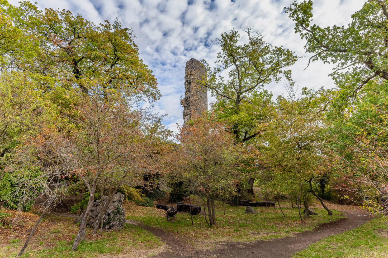 Auf dem Gel&auml;nde der Tomburg