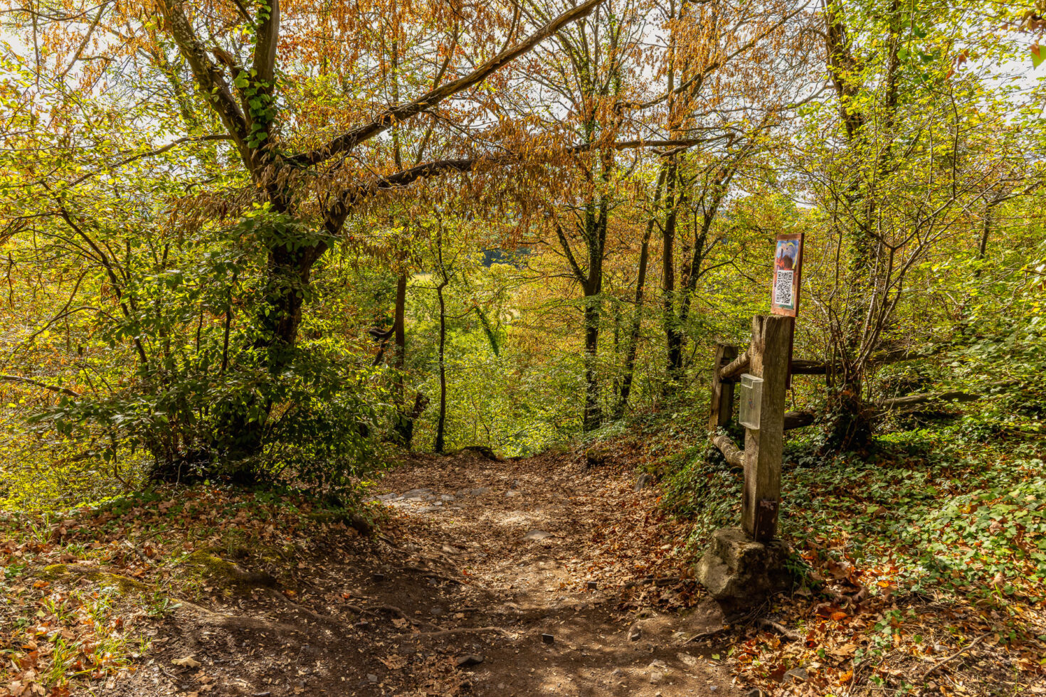 Auf dem Gel&auml;nde der Tomburg
